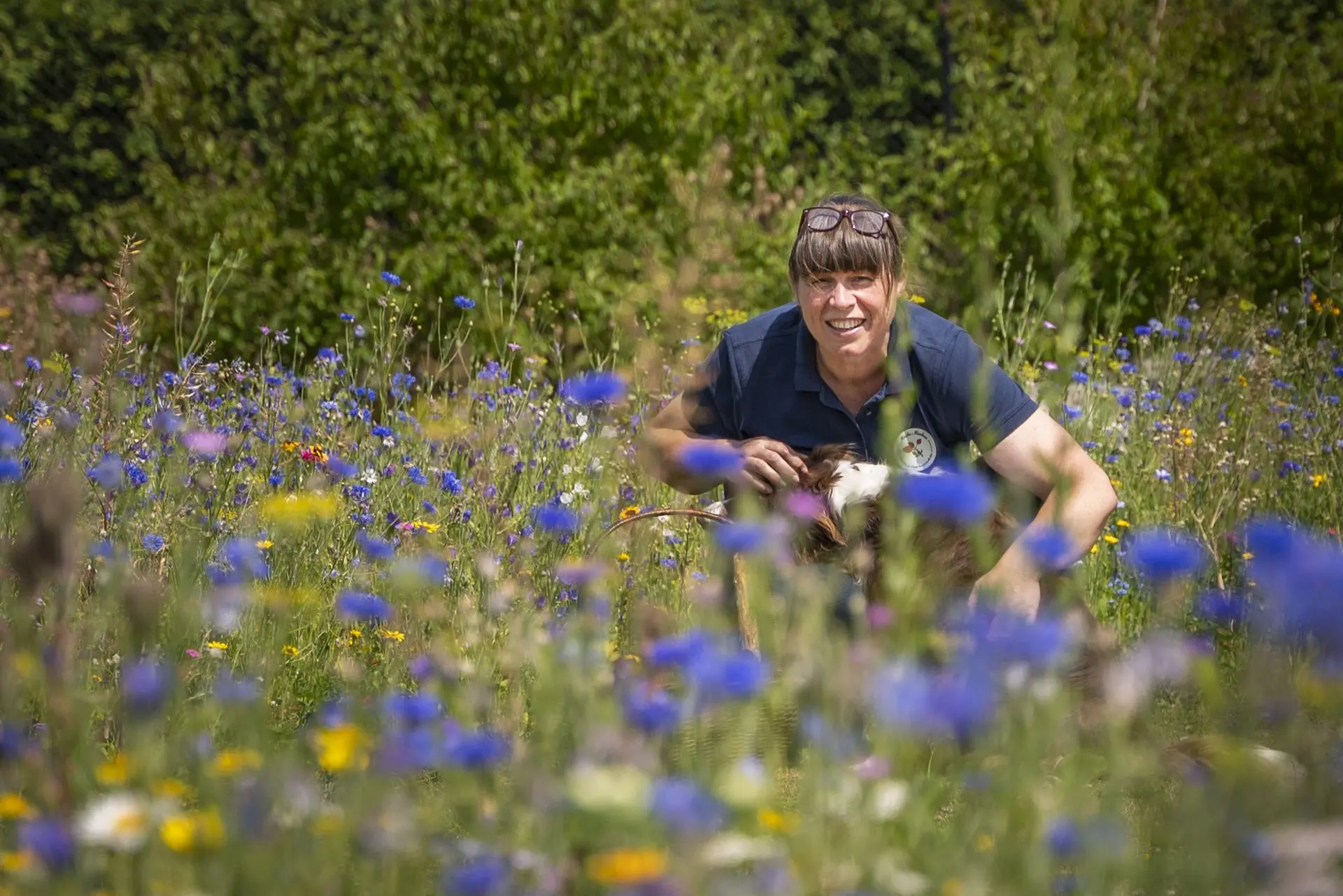 Moeke Marleen tussen de korenbloemen in haar bloementuin
